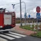 Fotka nr 1 z 2