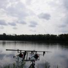 Fotka nr 5 z 72