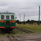 zdjęcie nr 50