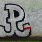 zdjęcie nr 13