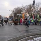 zdjęcie nr 31