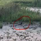 zdjęcie nr 4