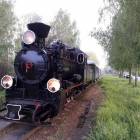 zdjęcie nr 48