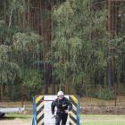 zdjęcie nr 37