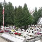 zdjęcie nr 25