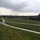 zdjęcie nr 7