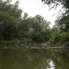 zdjęcie nr 41