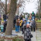 zdjęcie nr 15