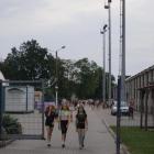 zdjęcie nr 15