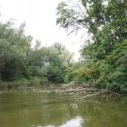 zdjęcie nr 37