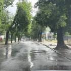 zdjęcie nr 9