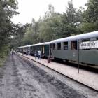 zdjęcie nr 12