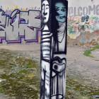 Fotka nr 5 z 19