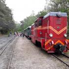 zdjęcie nr 22