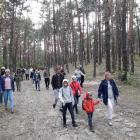 zdjęcie nr 16