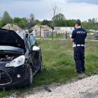 Fotka nr 5 z 8