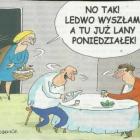 Fotka nr 3 z 27