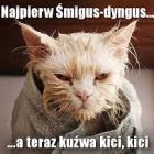 zdjęcie nr 26