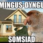 zdjęcie nr 22