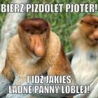Fotka nr 0 z 27