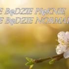Fotka nr 0 z 2