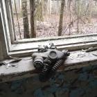 Fotka nr 4 z 5
