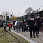 zdjęcie nr 14