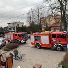 Fotka nr 1 z 8