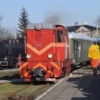 zdjęcie nr 7