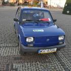 Fotka nr 4 z 49