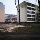 Fotka nr 1 z 3