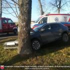 Fotka nr 2 z 4