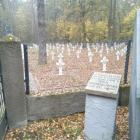 zdjęcie nr 15