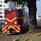 zdjęcie nr 20