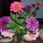 zdjęcie nr 9