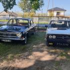 Fotka nr 5 z 70