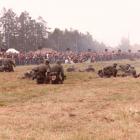 zdjęcie nr 31