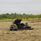 Fotka nr 5 z 100