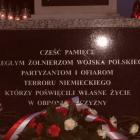zdjęcie nr 31