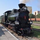 Fotka nr 3 z 18