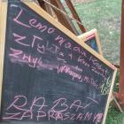 zdjęcie nr 27
