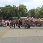 zdjęcie nr 18