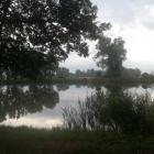 zdjęcie nr 11