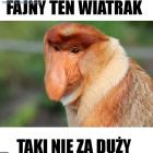 Fotka nr 5 z 11