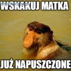 Fotka nr 4 z 11