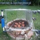zdjęcie nr 7
