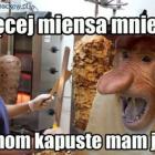 zdjęcie nr 10