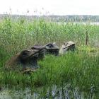 zdjęcie nr 31