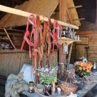 zdjęcie nr 11