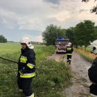 zdjęcie nr 15